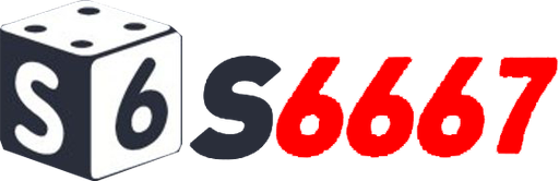 vns6667 Logo